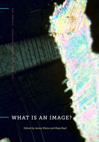 cover of the book What Is an Image?