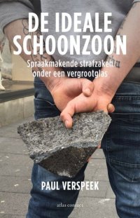 cover of the book De ideale schoonzoon