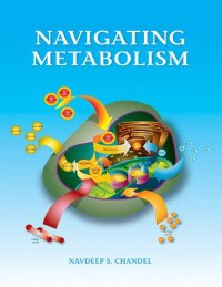 cover of the book Navigating Metabolism