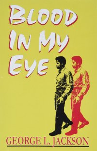 cover of the book Blood in My Eye