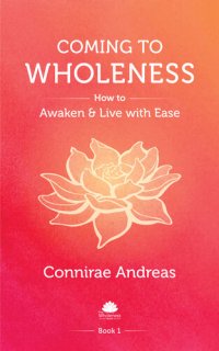 cover of the book Coming to Wholeness: How to Awaken and Live with Ease (The Wholeness Work Book 1)