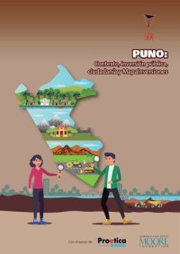 cover of the book Puno: Contexto, inversión pública, ciudadanía y MapaInversiones