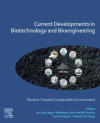 cover of the book Current Developments in Biotechnology and Bioengineering: Biochar Towards Sustainable Environment