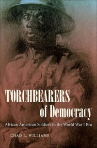 cover of the book Torchbearers of Democracy: African American Soldiers in the World War I Era