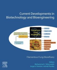 cover of the book Current Developments in Biotechnology and Bioengineering: Filamentous Fungi Biorefinery