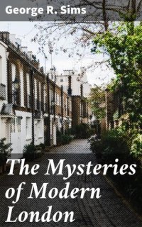 cover of the book The Mysteries of Modern London