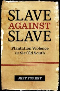 cover of the book Slave Against Slave: Plantation Violence in the Old South