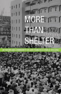 cover of the book More Than Shelter: Activism and Community in San Francisco Public Housing