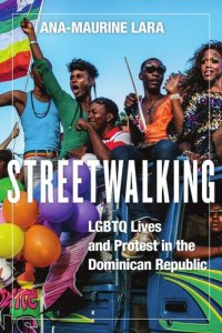 cover of the book Streetwalking