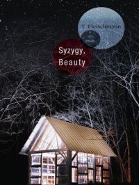 cover of the book Syzygy, Beauty: An Essay