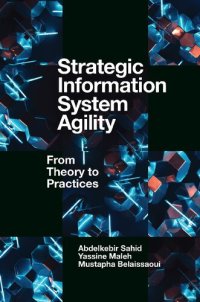 cover of the book Strategic Information System Agility:From Theory to Practices