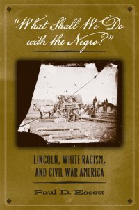 cover of the book "What Shall We Do with the Negro?": Lincoln, White Racism, and Civil War America