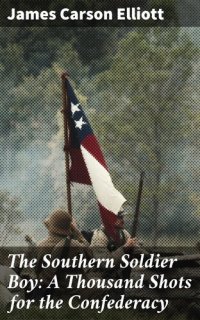 cover of the book The Southern Soldier Boy: A Thousand Shots for the Confederacy