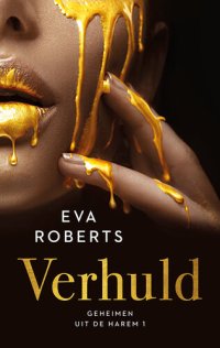 cover of the book Verhuld