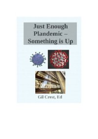 cover of the book Just Enough Plandemic - Something is Up, Unraveling the Narrative