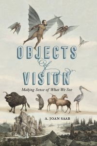 cover of the book Objects of Vision: Making Sense of What We See