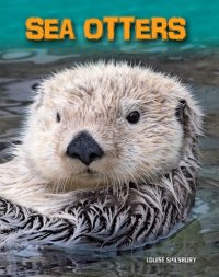 cover of the book Sea Otters