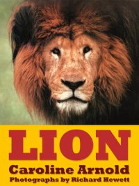 cover of the book Lion