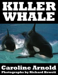 cover of the book Killer Whale