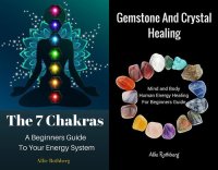 cover of the book Gemstone and Crystal Healing Mind and Body Human Energy Healing For Beginners Guide With the 7 Chakras a Beginners Guide to Your Energy System Box Set Collection