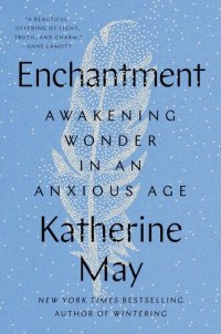 cover of the book Enchantment: Awakening Wonder in an Anxious Age