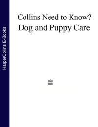 cover of the book Dog And Puppy Care