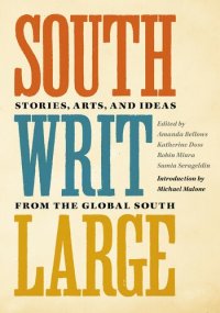 cover of the book South Writ Large: Stories from the Global South