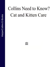 cover of the book Cat and Kitten Care