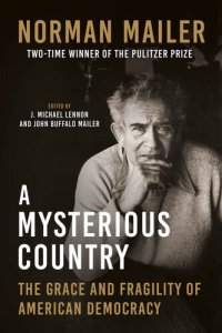 cover of the book A Mysterious Country: The Grace and Fragility of American Democracy