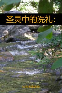 cover of the book 圣灵中的洗礼：