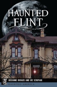 cover of the book Haunted Flint