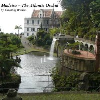 cover of the book Madeira: The Atlantic Orchid