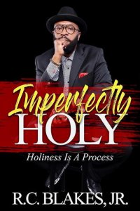 cover of the book Imperfectly Holy