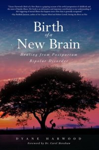 cover of the book Birth of a New Brain: Healing from Postpartum Bipolar Disorder