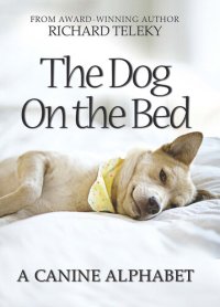 cover of the book The Dog on the Bed: A Canine Alphabet