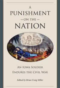 cover of the book A Punishment on the Nation: An Iowa Soldier Endures the Civil War