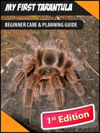 cover of the book My First Tarantula: Beginner Care & Planning Guide