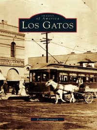 cover of the book Los Gatos