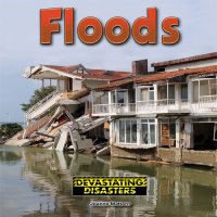 cover of the book Floods