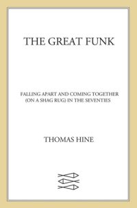 cover of the book The Great Funk: Falling Apart and Coming Together (on a Shag Rug) in the Seventies