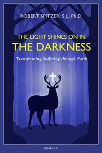 cover of the book The Light Shines on in the Darkness: Transforming Suffering through Faith