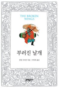 cover of the book 부러진 날개