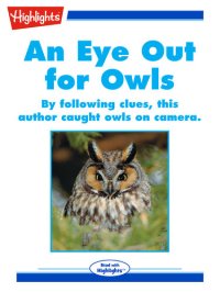 cover of the book An Eye Out for Owls