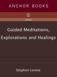 cover of the book Guided Meditations, Explorations and Healings