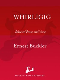 cover of the book Whirligig