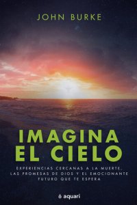 cover of the book Imagina el cielo