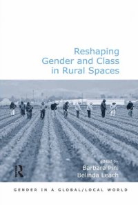 cover of the book Reshaping Gender and Class in Rural Spaces