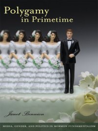 cover of the book Polygamy in Primetime