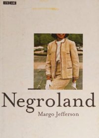 cover of the book Negroland