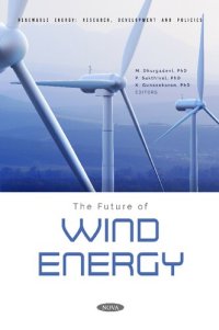 cover of the book The Future of Wind Energy